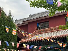 -大槐树寻根祭祖园