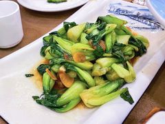 海米青菜-良友·海鲜青岛菜(五四广场店)