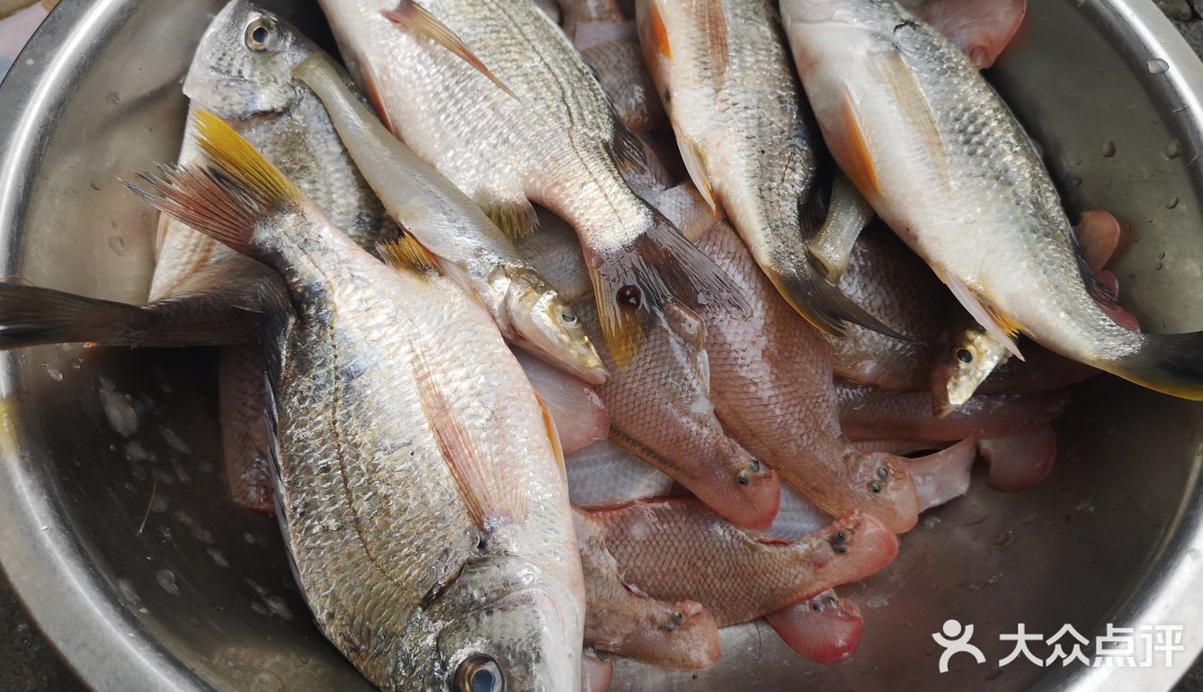 北海 一个海鲜城市