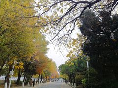 -吉林大学(南岭校区)