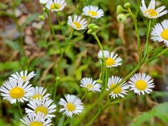 -渭河城市绿地运动公园