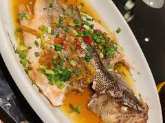 双椒青石斑-三凤酒家·百年无锡菜(清扬茂业店)