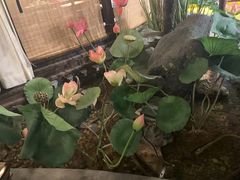 -福满我家大碗厨·湘菜(上海大厦店)