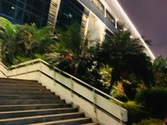 -福建省奥林匹克体育中心体育馆