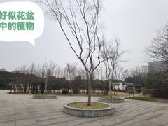 -颐景园