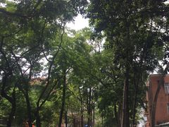 -广东外语外贸大学(白云山校区)