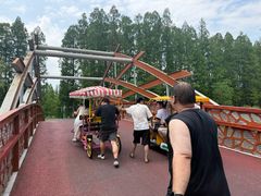 -黄海国家森林公园