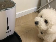 -龍歌自助小火锅(李沧丽达店)