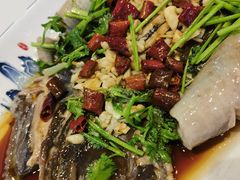 -老渔翁海肠捞饭(幸福九村店)