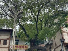 -土城古镇