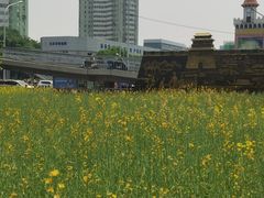 -BHG生活超市(安贞店)