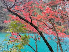 -叠溪松坪沟景区