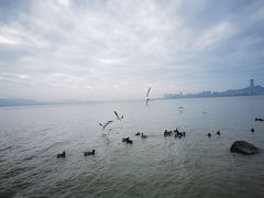 -深圳湾公园(南山区)