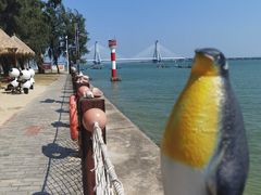 -北海金海湾红树林生态旅游区