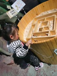 点击看大图 -酷嗒动物文化乐园(cutezoo西溪乐天城店)