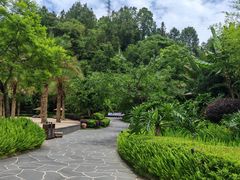 -腾冲洞山温泉村