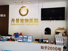 -丹景宠物医院·全科·老年病·牙科(武昌诊疗中心)