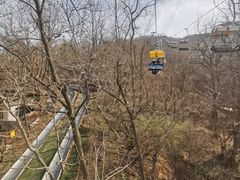 -富斯特索道