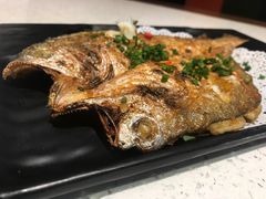 -九府羊·鲜羊火锅·烤串(新华路店)