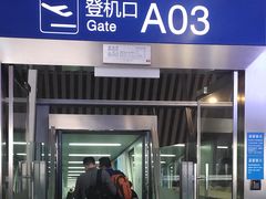 -合肥新桥国际机场-航站楼