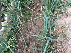 -兴芮温泉度假区