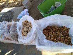 -泸沽湖国家级风景名胜区走婚桥