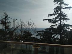 -青岛得宝湾维景国际大酒店(五四广场奥帆中心店)