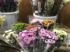 -鹿岛会员店 (龙湖三千集天街店)