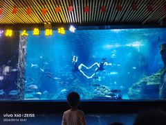-锦艺城海洋馆