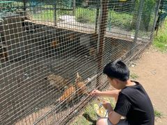 -前小桔亲子创意农场·草莓采摘·露营烧烤