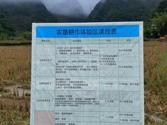 -靖西鹅泉风景区