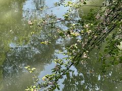 -棠湖公园