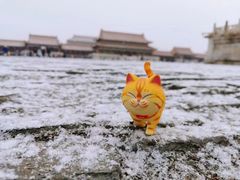 -故宫博物院(故宫)