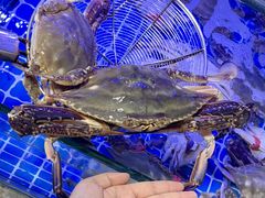 -来之顺海鲜菜馆·青岛菜·始于1993(栈桥店)