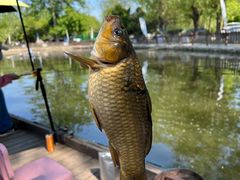 -酷鱼垂钓CLUB(朝阳区博大路店 )