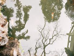 -杭州西湖柳莺里酒店