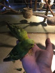 -酷嗒动物文化乐园(cutezoo西溪乐天城店)