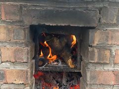 -西部长青自然儿童乐园