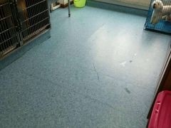 -佳雯宠物医院(四明中路分院)