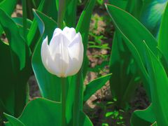 -北京植物园南门售票处