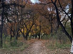 -长春市南湖公园