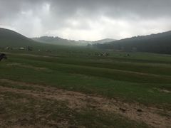 -火齐潮汕砂锅粥(五道口店)