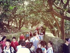 -普陀山慧济禅寺