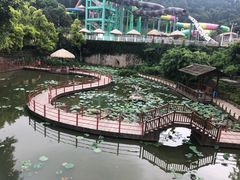 -珠海圆明新园