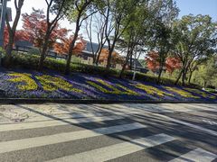 -狼山风景名胜区