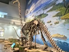 -自贡恐龙博物馆