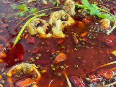 -善梁之富顺豆花鱼火锅(中国化学·时光道东区店)