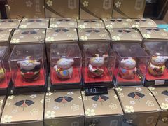 -猫咪博物馆(顶澳仔猫街店)