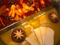 台式麻辣锅拼花胶鸡-湊湊火锅·茶憩(打浦桥日月光店)