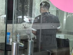 -暖阳宠物医院·犬猫康复中心·骨科